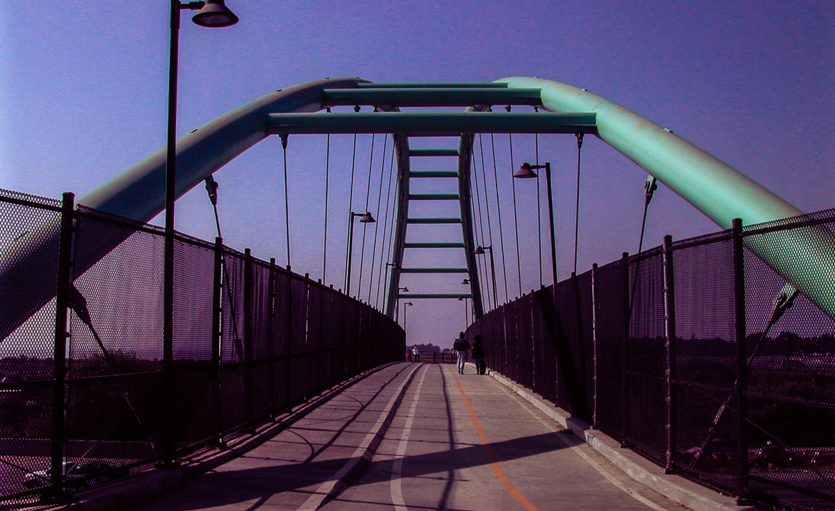 Berkeley_Ped_04.jpg