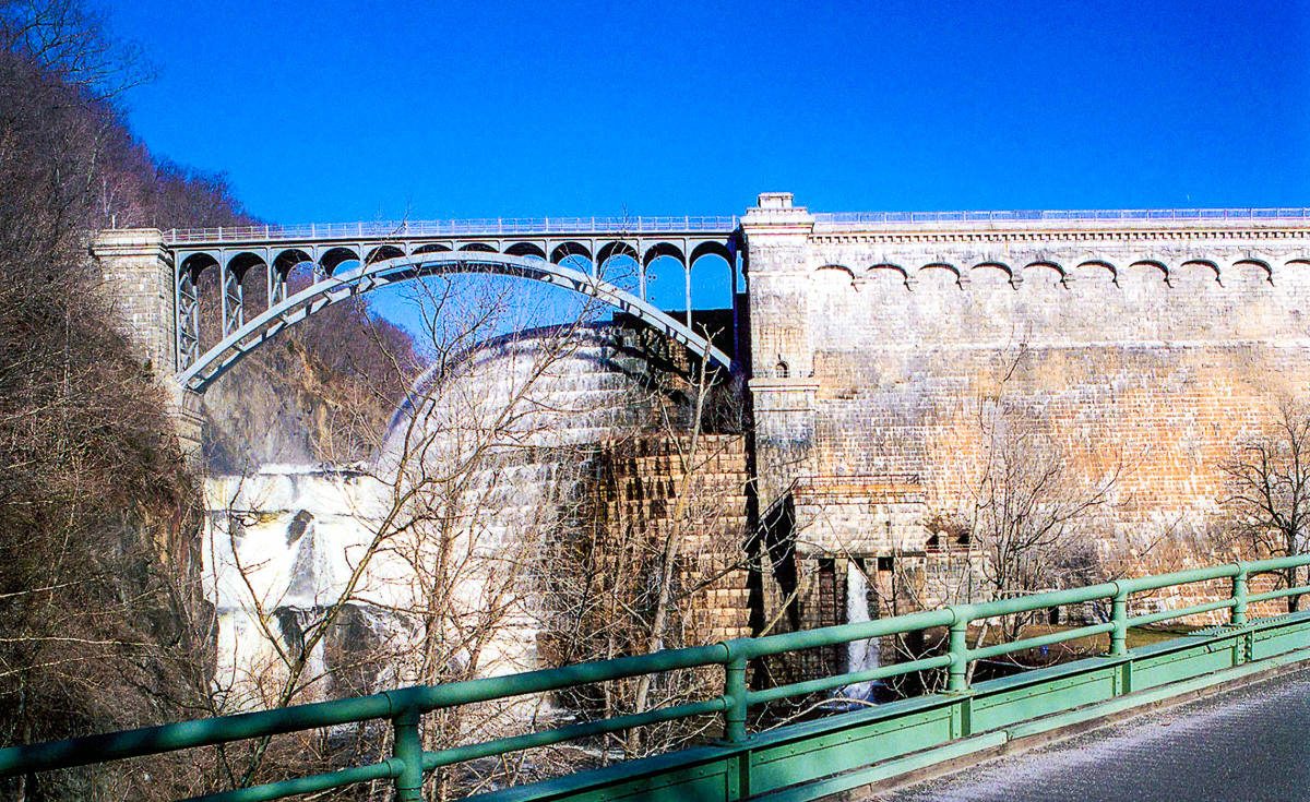 New_Croton_03.jpg