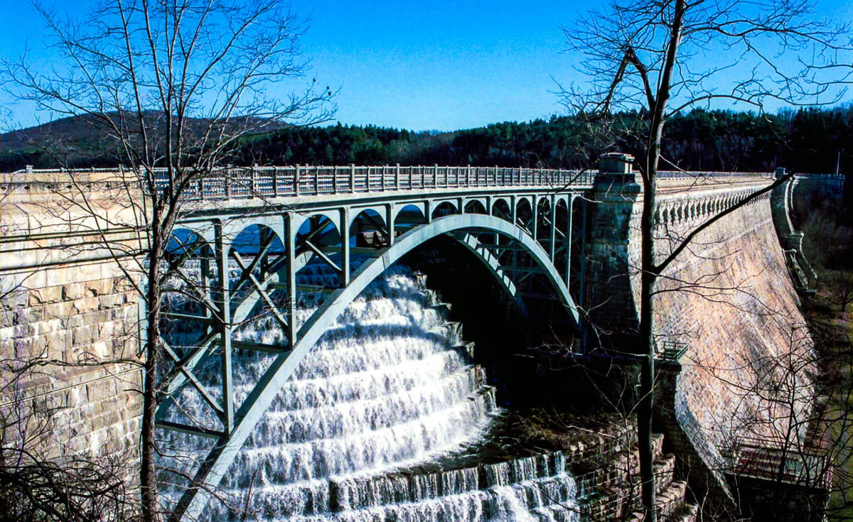 New_Croton_05.jpg